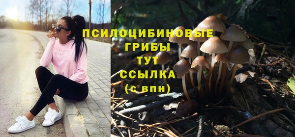 тгк Балахна
