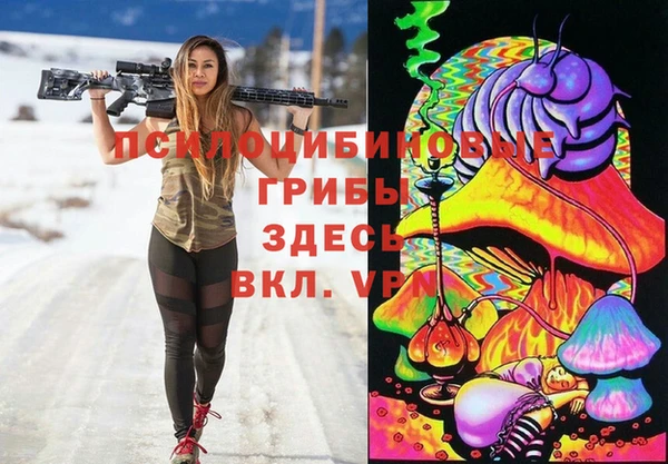 тгк Балахна