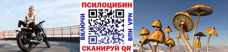 Галлюциногенные грибы Psilocybe  даркнет сайт  Боровичи 